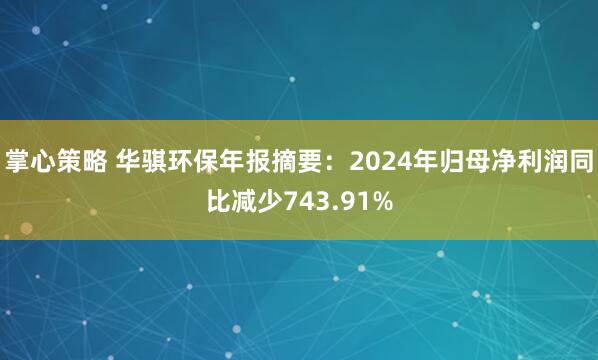 掌心策略 华骐环保年报摘要：2024年归母净利润同比减少743.91%