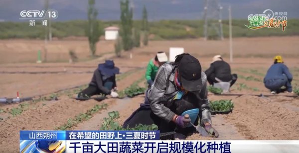 长江配资 农技护航、智慧种田&#32;“三夏”时节各地都在抢农时&#32;忙耕种
