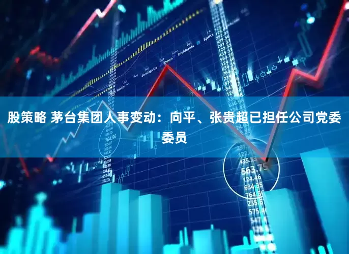 股策略 茅台集团人事变动：向平、张贵超已担任公司党委委员
